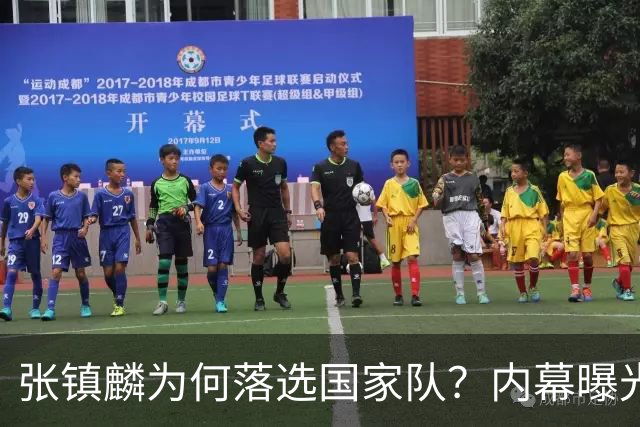 张镇麟为何落选国家队？内幕曝光，叫人心疼，郭士强并没放弃他